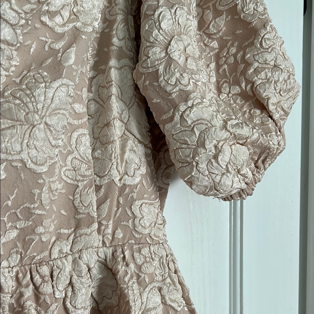Pink Blush - Large Elegant Lace Puff Sleeve Dress - Picture 5 of 7
